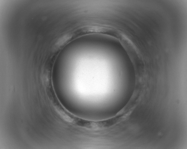 X0000082750305200701261514
