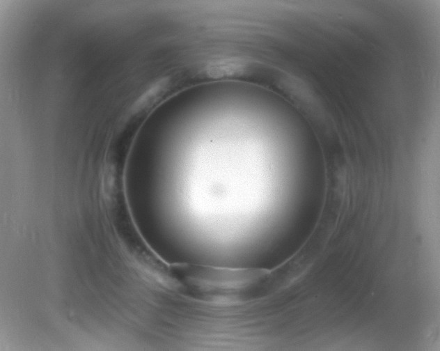 X0000082750308200701261514