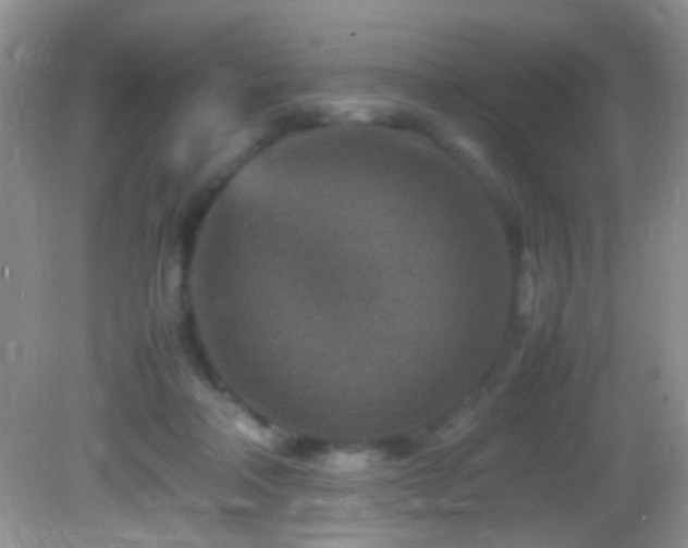 X0000082750314200701261514