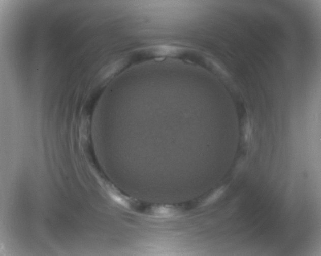 X0000082750325200701261514