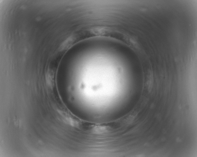 X0000082750332200701261513