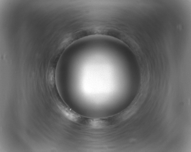 X0000082750336200701261513