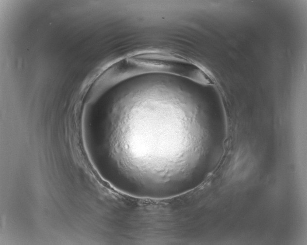 X0000082750337200701261513