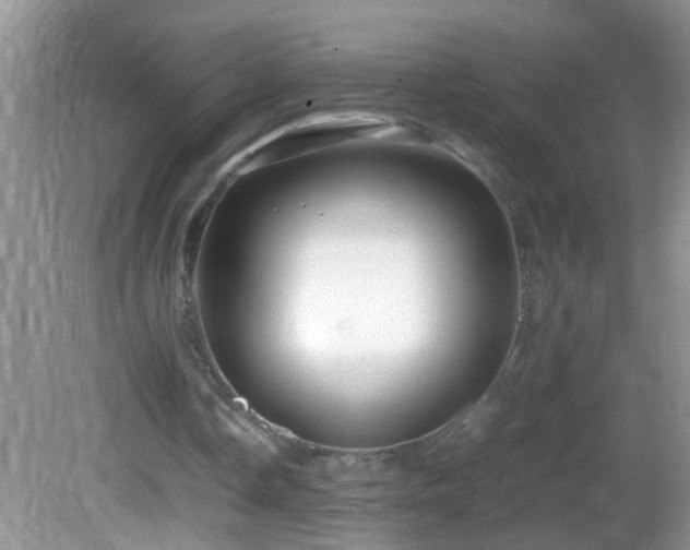 X0000082750338200701261513
