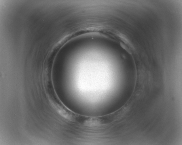 X0000082750354200701261513