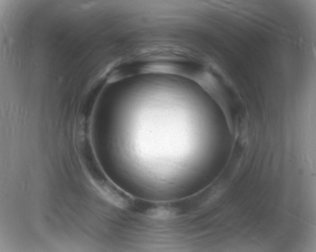 X0000082750356200701261513