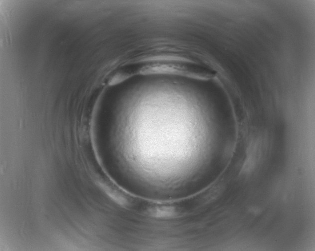 X0000082750361200701261513