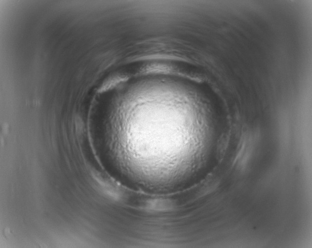 X0000082750371200701261513