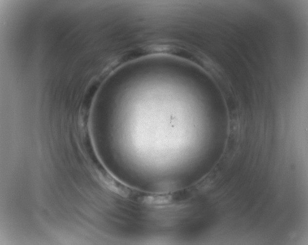 X0000082750373200701261513
