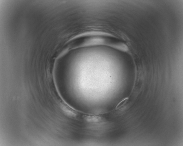 X0000082750377200701261513
