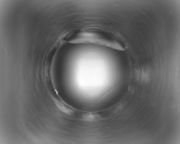 X0000082750379200701261513