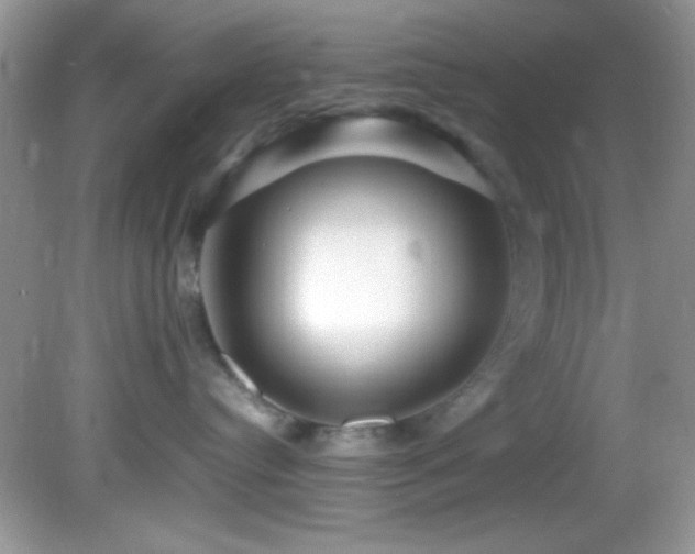 X0000082750384200701261513