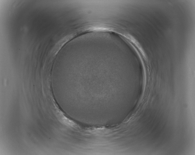X0000082750385200701261513