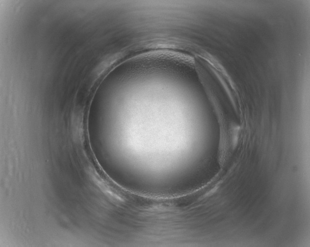 X0000082750386200701261513
