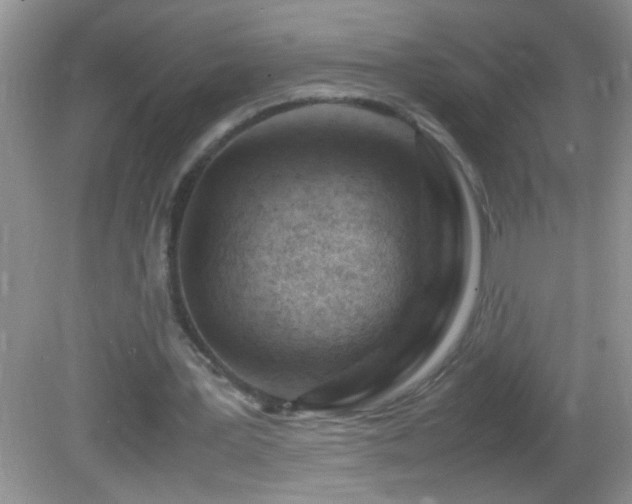 X0000082750387200701261513