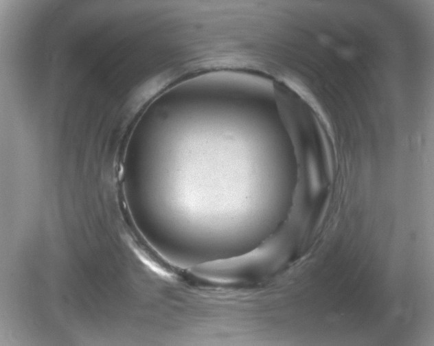 X0000082750389200701261513