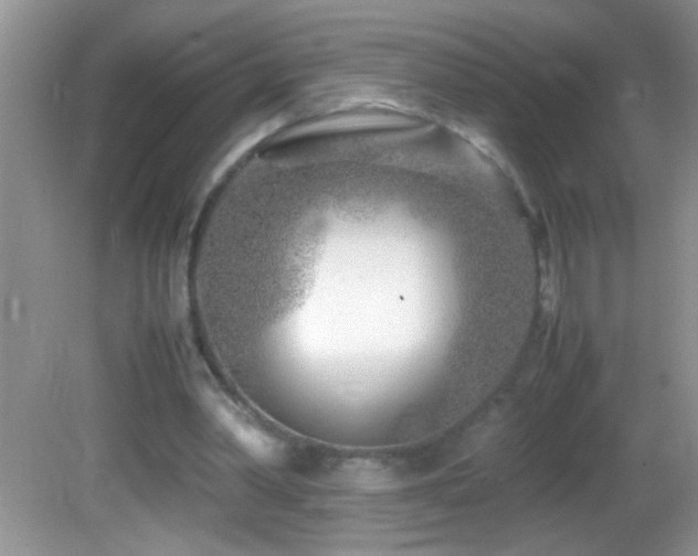 X0000082750390200701261513