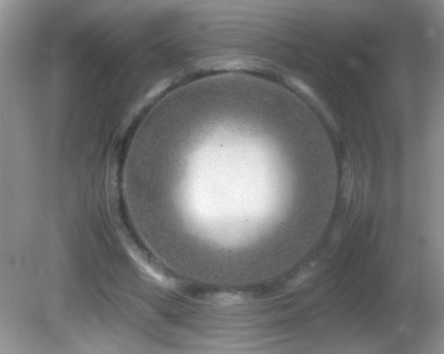 X0000082750394200701261512
