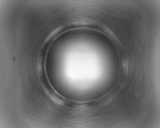 X0000082750396200701261512