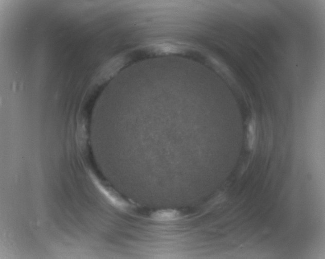 X0000082750410200701261512