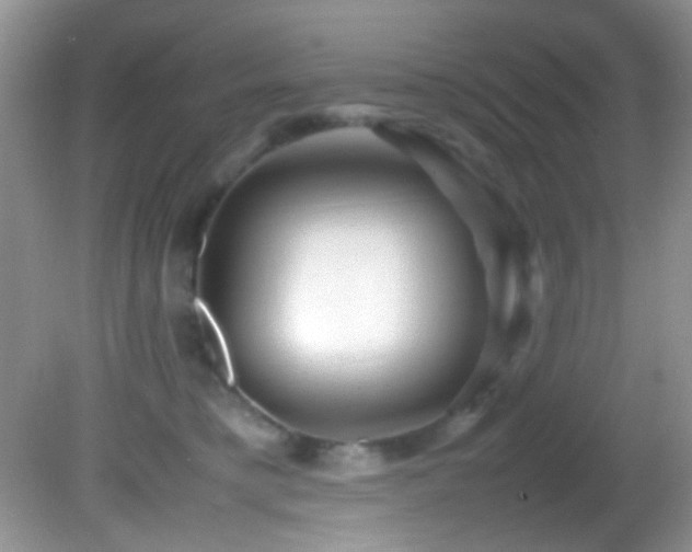 X0000082750421200701261512