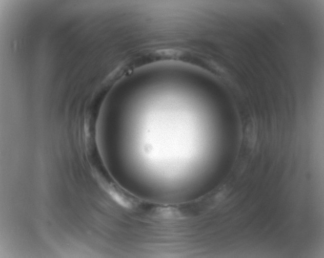 X0000082750424200701261512