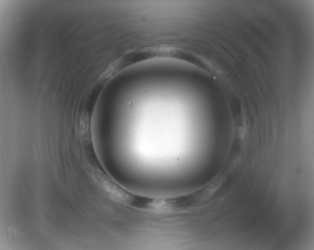 X0000082750425200701261512