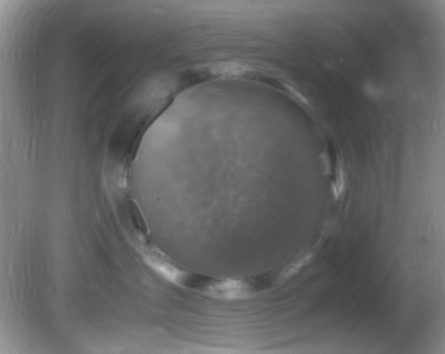 X0000082750431200701261512