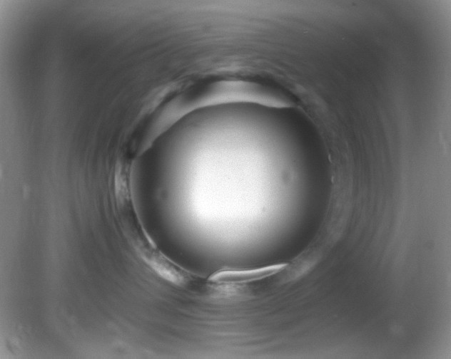 X0000082750432200701261512