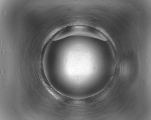 X0000082750437200701261511
