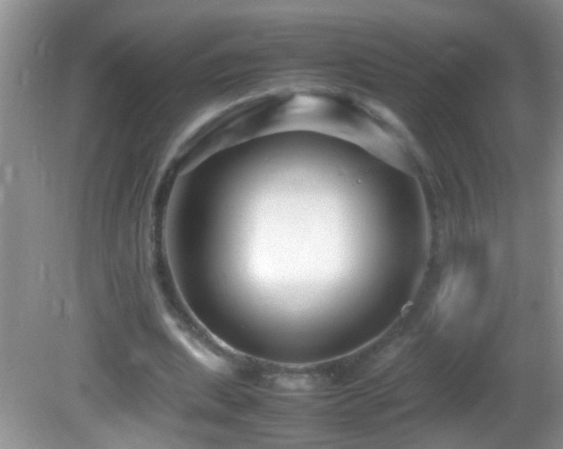 X0000082750439200701261511