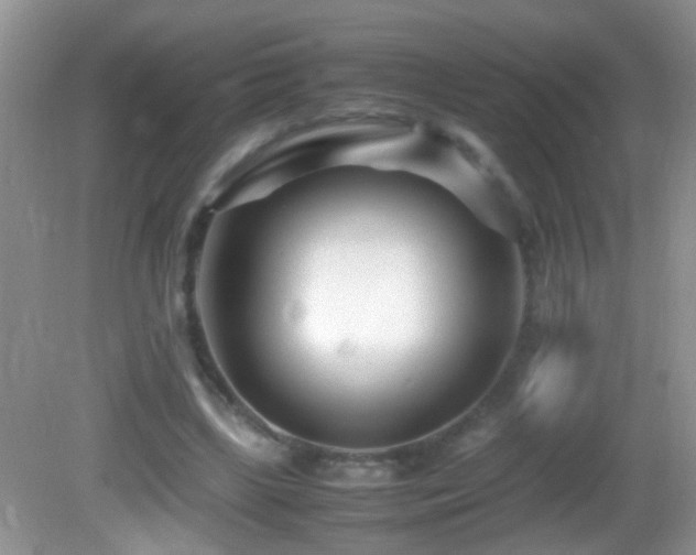 X0000082750443200701261511