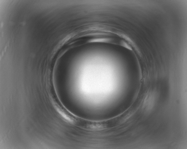 X0000082750445200701261511