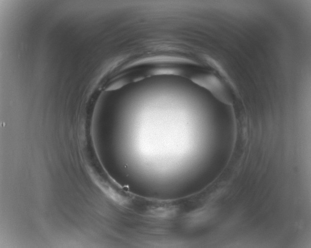 X0000082750447200701261511