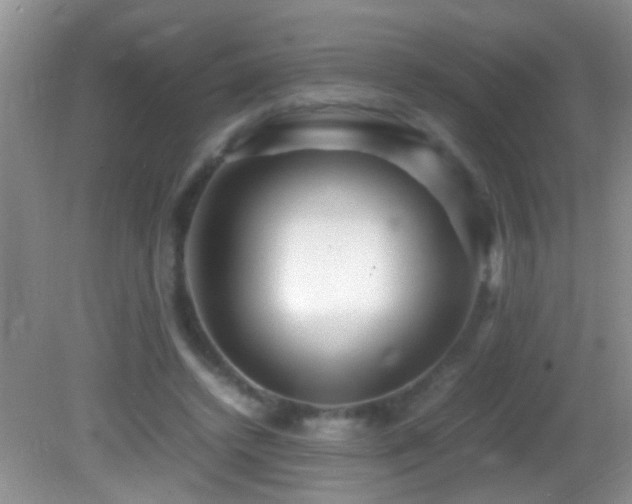 X0000082750448200701261511