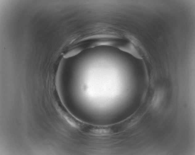 X0000082750449200701261511