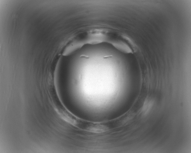 X0000082750459200701261511
