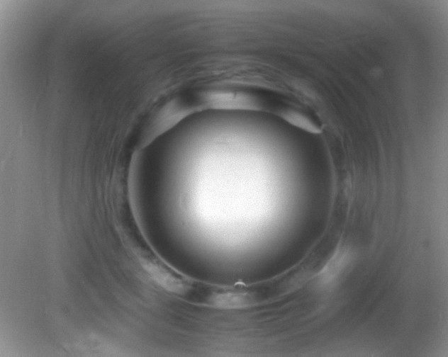 X0000082750461200701261511