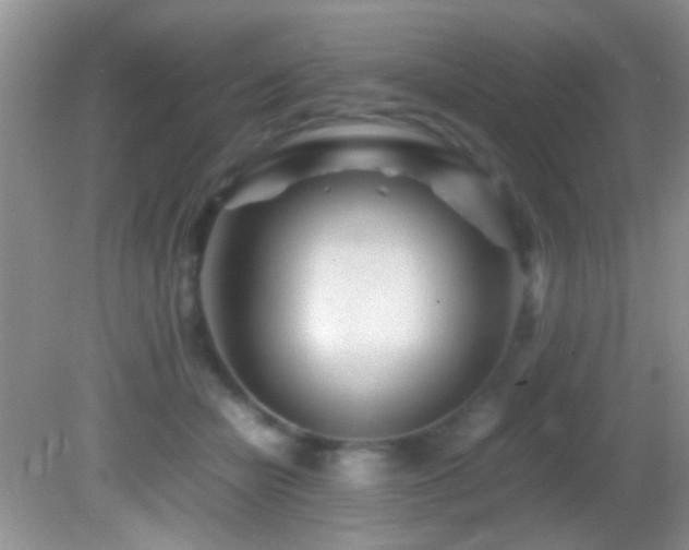 X0000082750462200701261511
