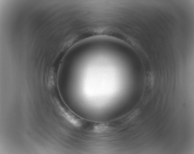 X0000082750470200701261512