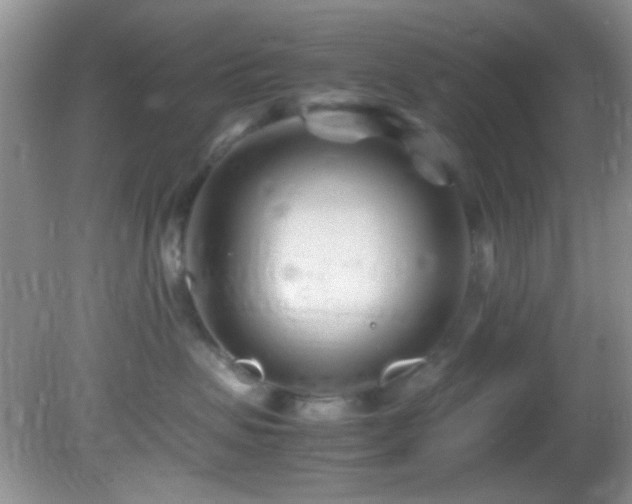 X0000082750479200701261512