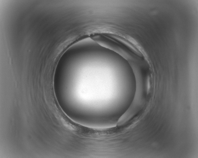 X0000082750481200701261511