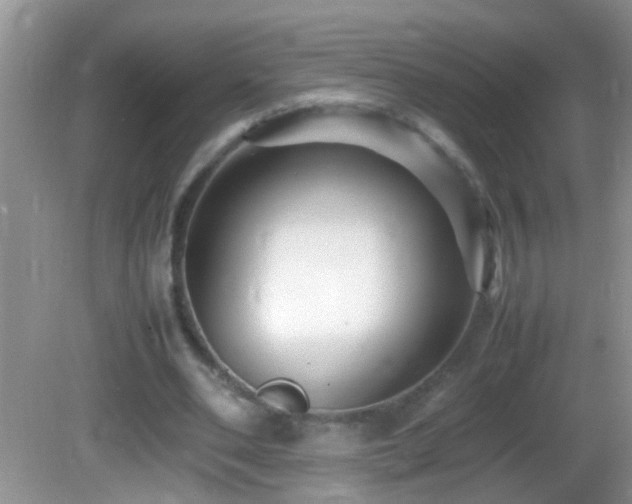 X0000082750486200701261511