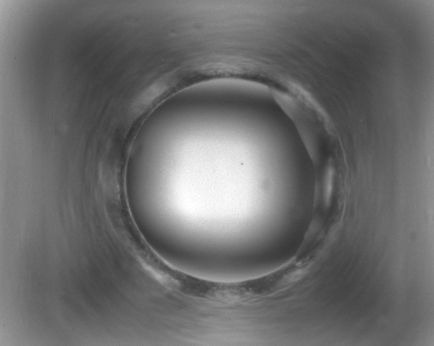 X0000082750489200701261511