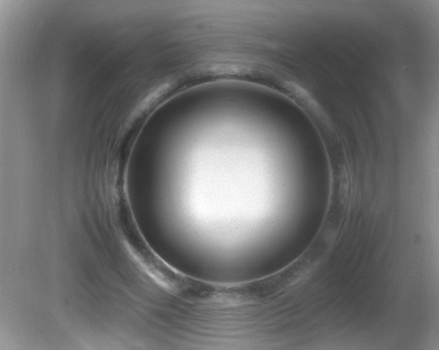 X0000082750490200701261511