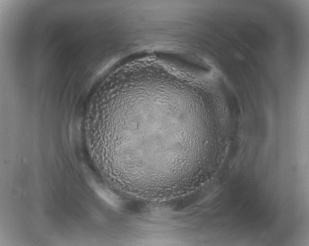 X0000082750491200701261511