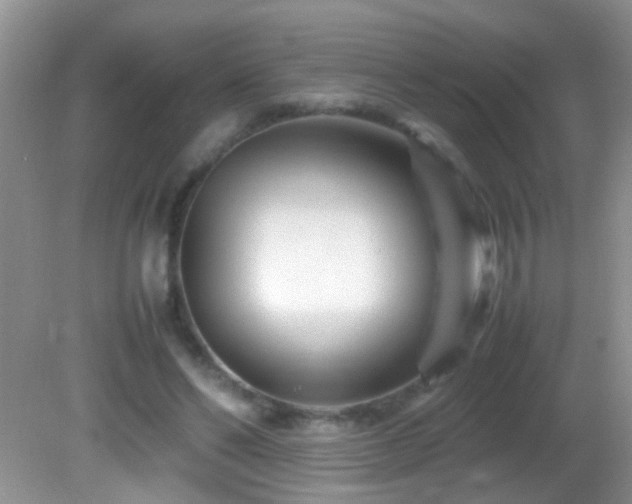 X0000082750494200701261511