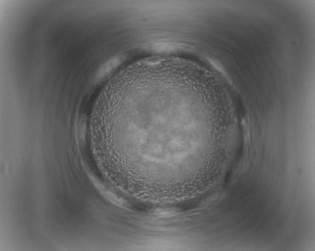 X0000082750495200701261511