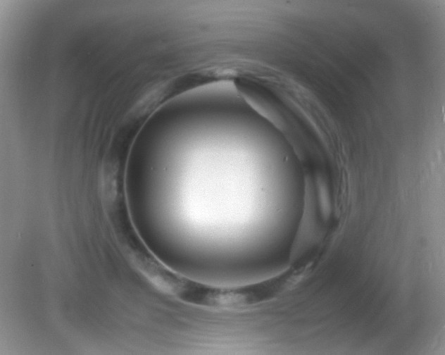 X0000082750501200701261511
