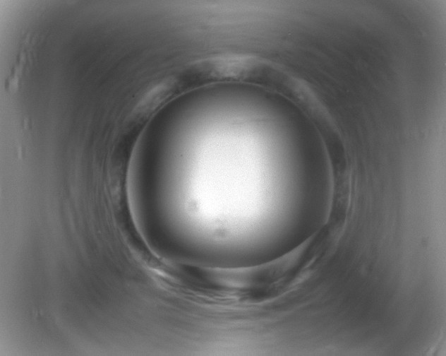 X0000082750505200701261511